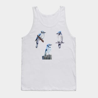 Painted Blue Jay set Tank Top